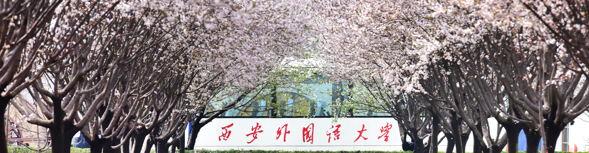 全球博彩公司排名